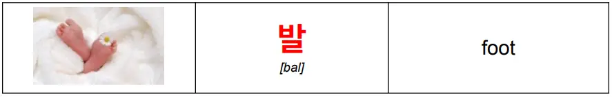 korean_word_발_meaning_foot