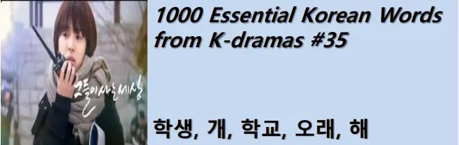 1000 Korean words for everyday use - Basic vocabulary from K-dramas #35